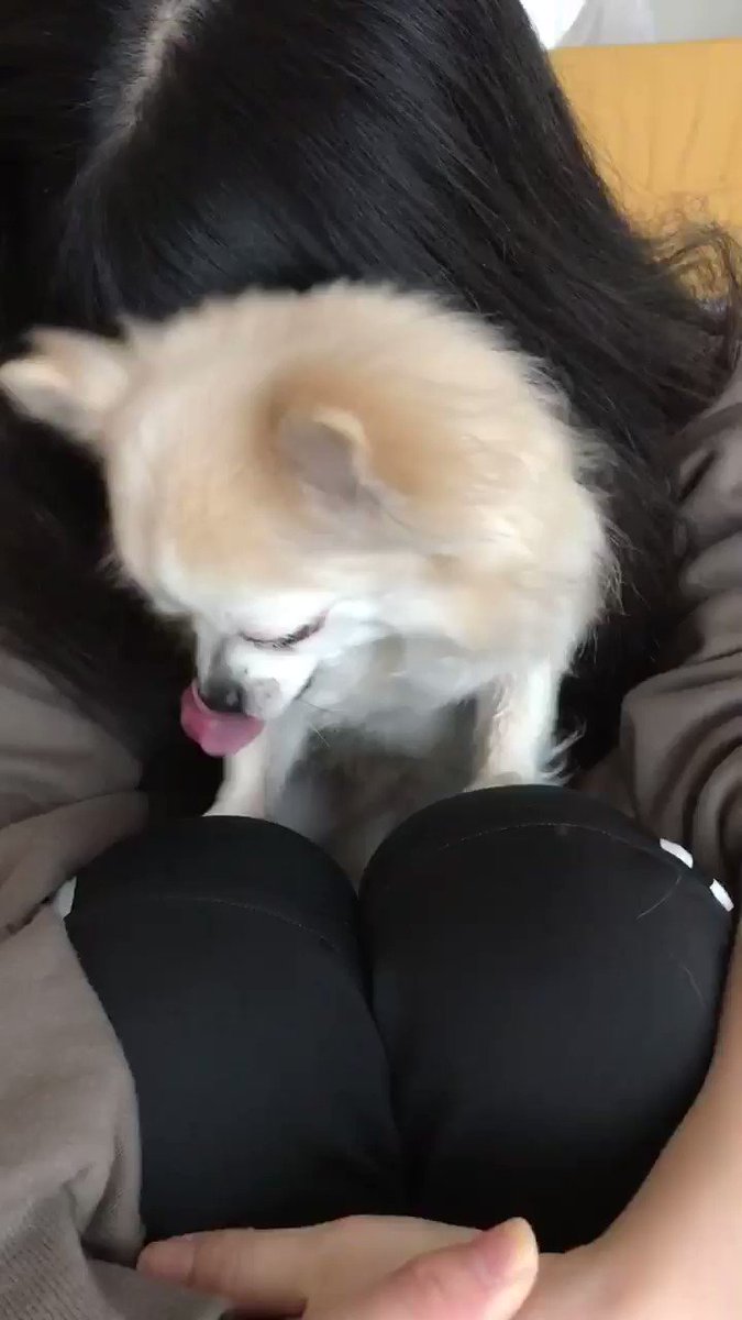 ねぇね ねぇねPM (@RKpVeWRWiYCwdCJ) / Posts / X