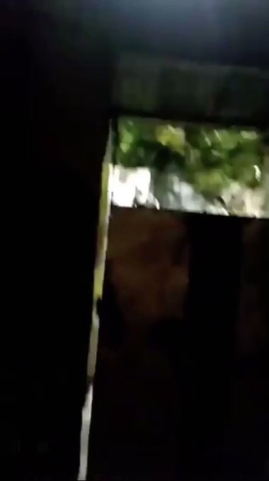 Vídeo incorporado