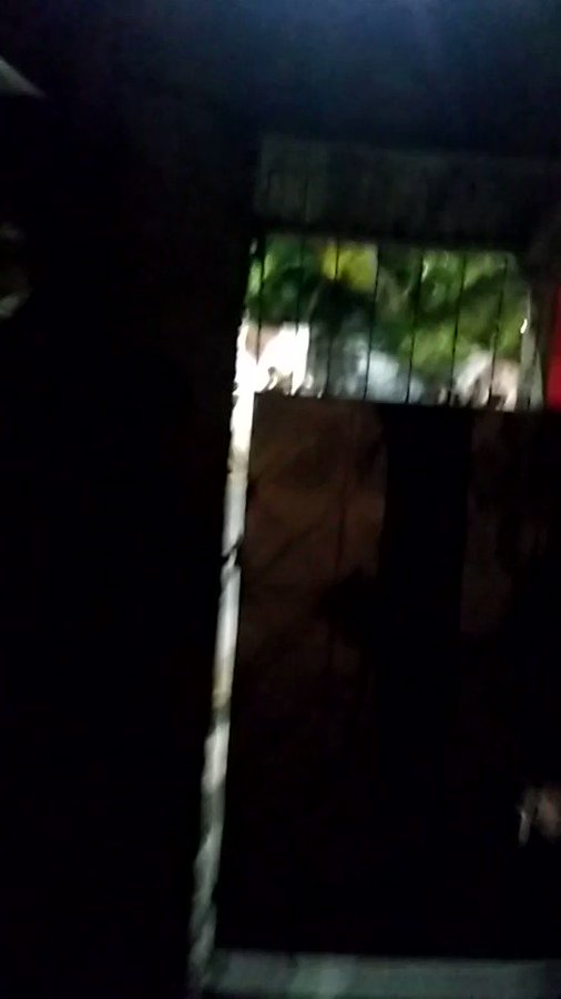 Vídeo incorporado