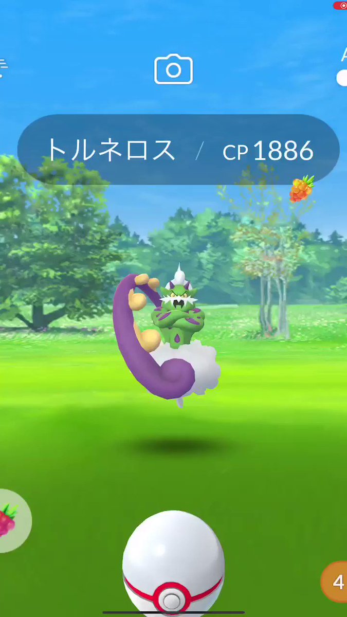 トルネロス 入手 イメージポケモンコレクション