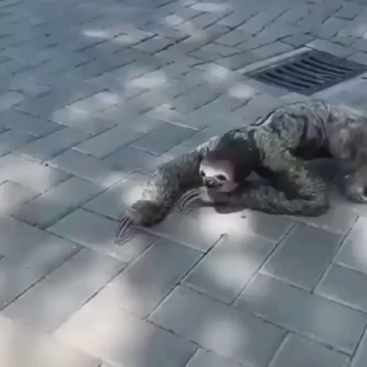 Eu tentando voltar pra academia