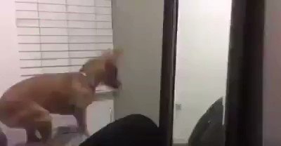 Yo entrando a tu corazรณn el 14 de febrero: