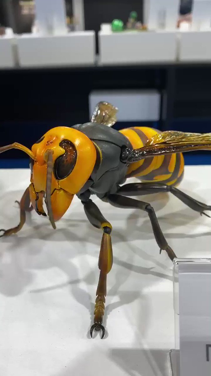 超ポイントバック祭】 スズメバチ ワンフェス ガレージキット 昆虫 lee
