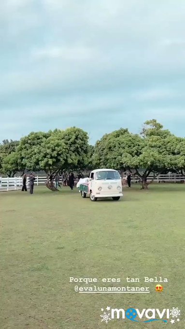 Video insertado