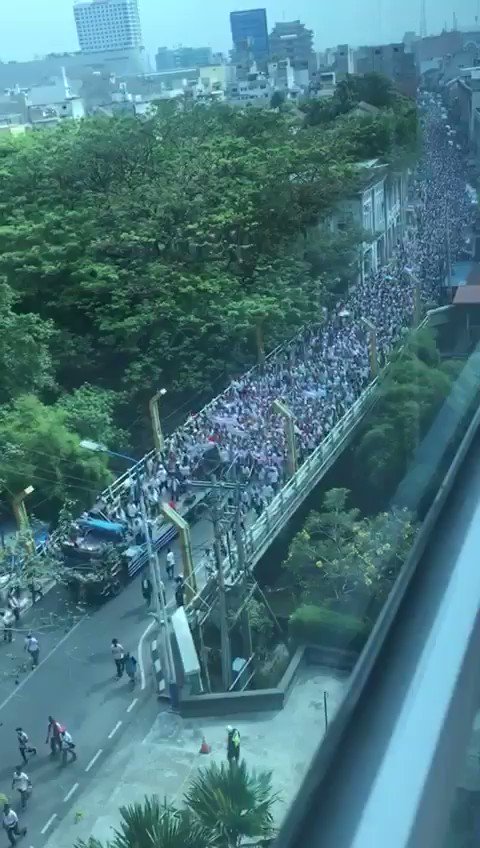 Video Demo #SaveBabi di Kota Medan