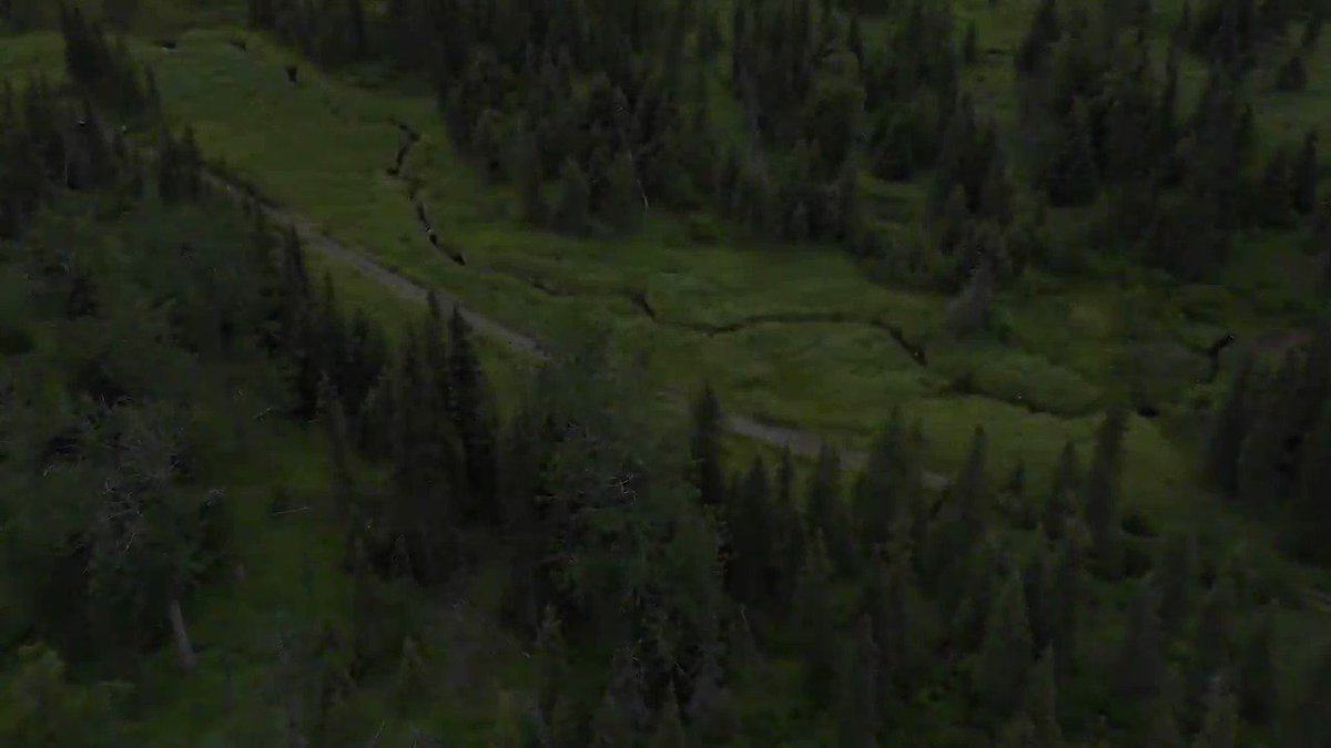 How can we make sure salmon stays a sustainable resource in Alaska? Watch the full video on Youtube to learn how @SmithsonianEnv is helping protect the future of salmon & the communities that depend on them #EarthOptimism https://youtu.be/Ro3fojyWi9o