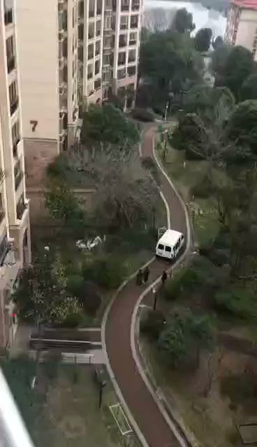 嵌入的影片