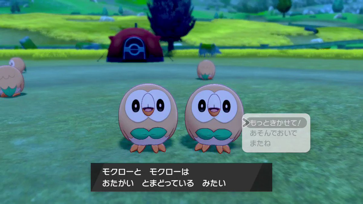 もふ Tnもくろー 向かい合うモクロー ポケモン剣盾 Nintendoswitch