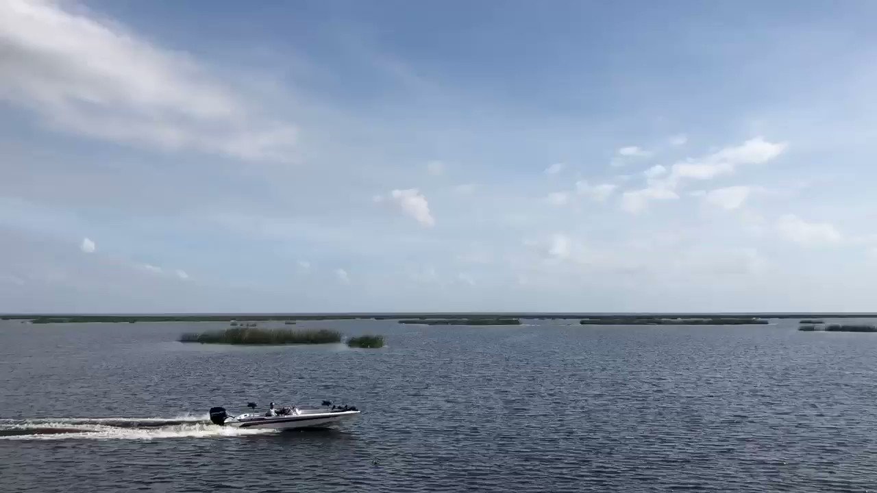 Jeffrey Marlow على X: Quick road trip stop at Lake Okeechobee