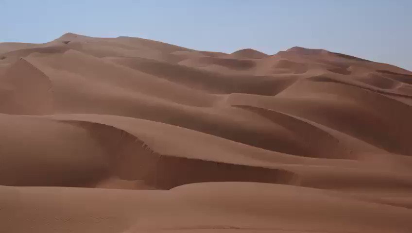 أحاول نوم عيني بالغصايبوجفن العين للخالين طايبعسى طيفٍ يوافي عن حبيبيولو حلم الكرى يصبح كذايبمن أجمل قصائد الشعر النبطي عن الحب والشوق، للمغفور لها بإذن الله #عوشة_بنت_خليفة_السويدي. #فتاة_العرب#جائزة_عوشة