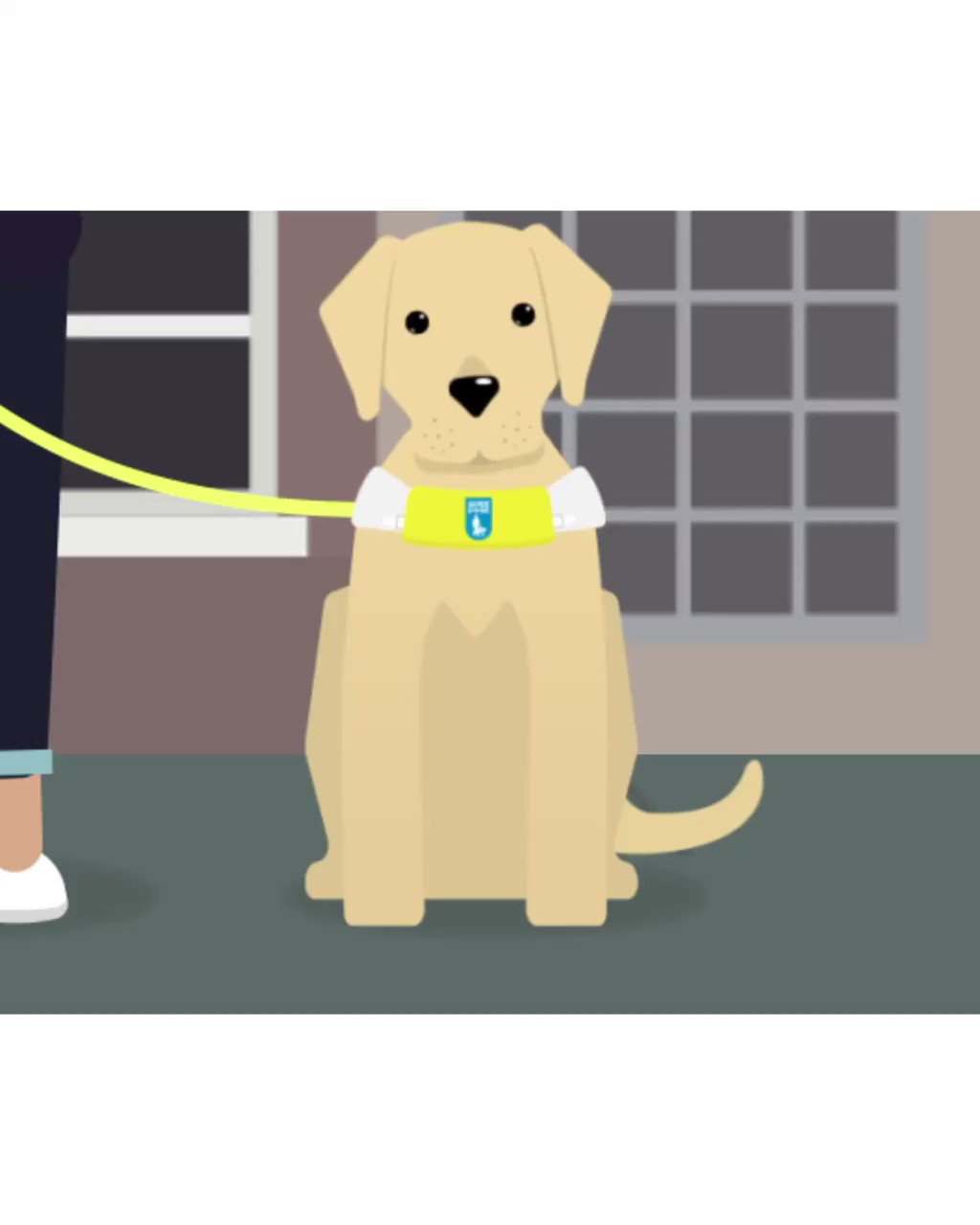 Guide Dogs on Twitter: Guide Dogs on Twitter:
