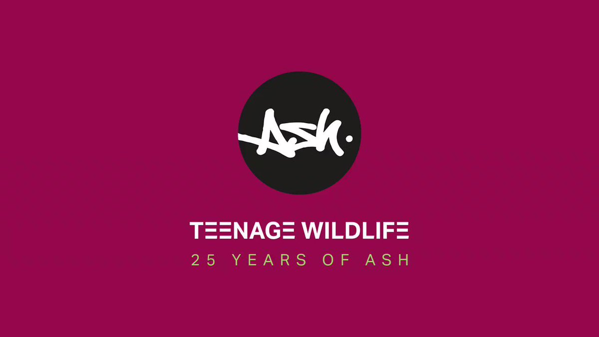 英2LP Ash Teenage Wildlife: 25 Years Of Ash BMGCAT425DLP BMG /00660 Ash – Teenage Wildlife: 25 Years Of Ash – 3 x CD (Lenticular