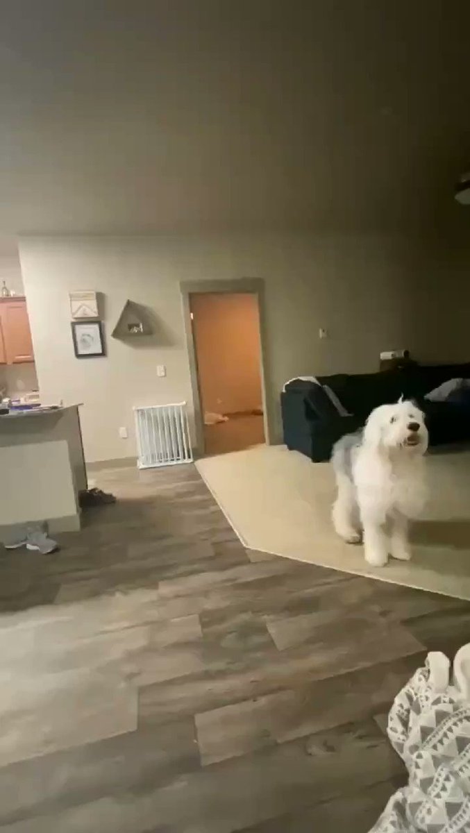 The disappearing human trick(From/old reddit U/jdbaz)