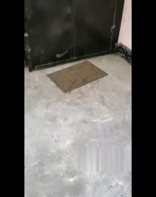 Родственники сказали, пойдём в гараж шашлык кушать...
