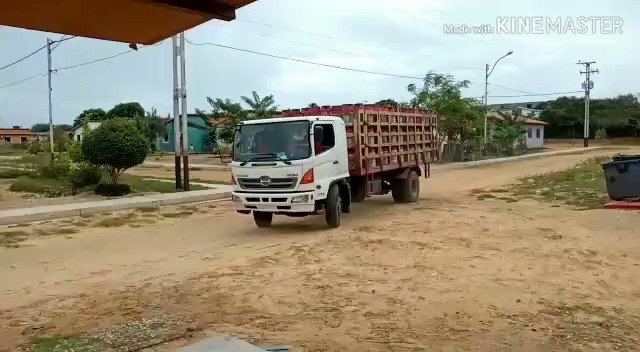 Video insertado