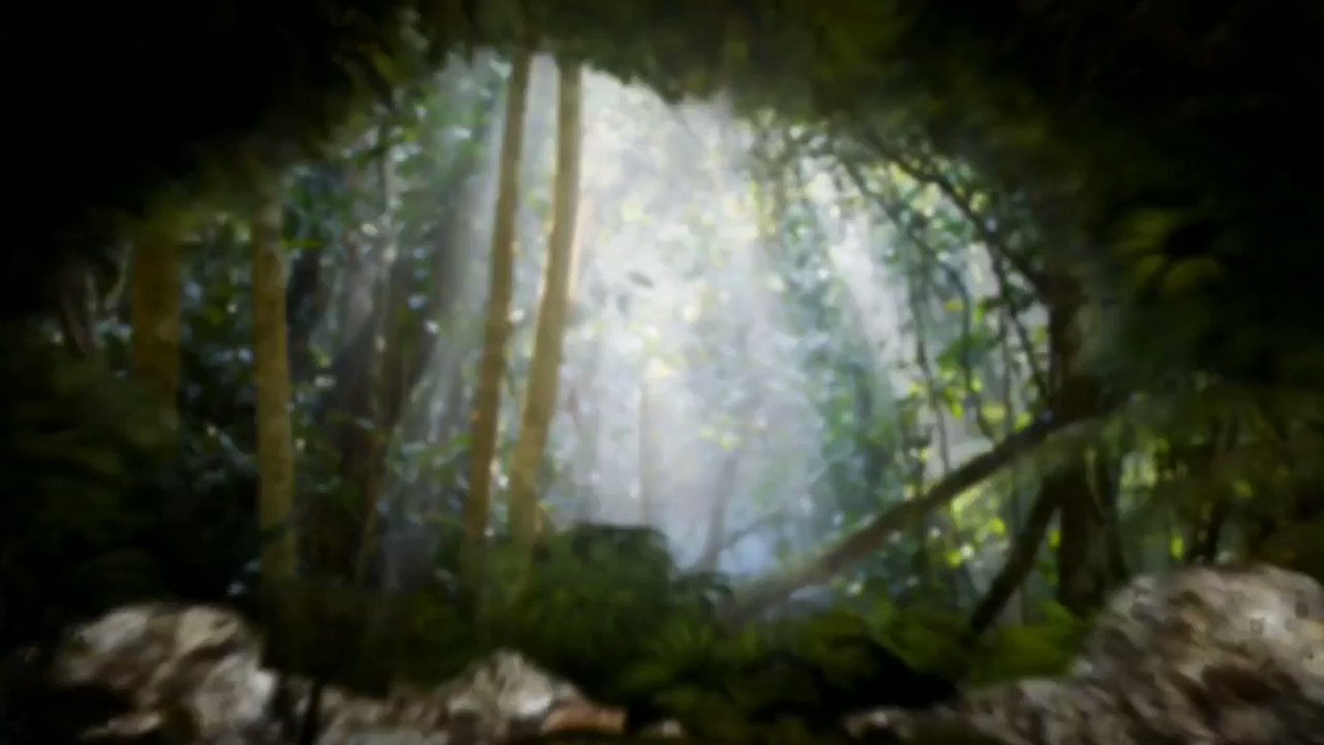 Steve Backshall (@SteveBackshall) on Twitter photo 2020-02-17 15:37:06 Deadly is back! Perfect predators,Deadly defenders and a whole host of firsts, from serval hunting to swimming alongside Orca beneath the Northern Lights. This series focusses on the conservation of our lethal superstars, and what we can do to save them! Mondays, 5:30pm on @cbbc Deadly is back! Perfect predators,Deadly defenders and a whole host of firsts, from serval hunting to swimming alongside Orca beneath the Northern Lights. This series focusses on the conservation of our lethal superstars, and what we can do to save them! Mondays, 5:30pm on @cbbc
