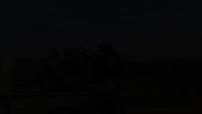 Ενσωματωμένο βίντεο