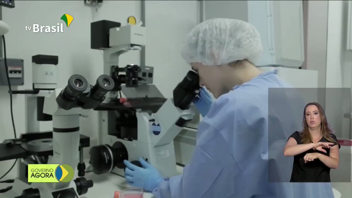 #Wolbachia | Iniciativa do @minsaude e da @fiocruz libera mosquitos com a bactéria que reduz transmissão da #dengue, #zika e #chikungunya