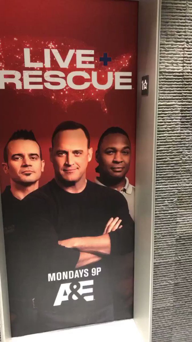 @Bifflawson's photo on #LiveRescue
