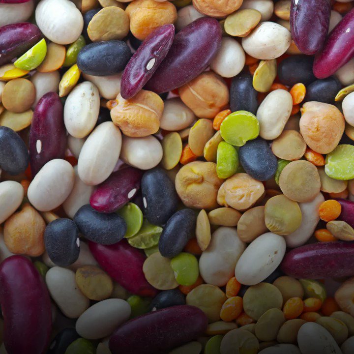 FAO (@FAO) on Twitter photo 27/02/2020 13:31:26 Did you know pulses can increase #biodiversity? But how? 🎥Watch to find out 👇 #Biodiversity2020 Did you know pulses can increase #biodiversity? But how? 🎥Watch to find out 👇 #Biodiversity2020
