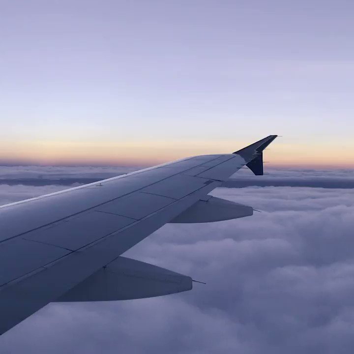 самолеты live