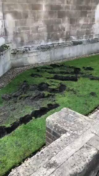 Wczoraj pokazywaliśmy Państwu obrońców klimatu, którzy łopatami postanowili roznieść trawnik w Trinity College. Oto efekty... Podobne działania utwierdzają nas w przekonaniu, że oni są zdrowo popier**leni.
