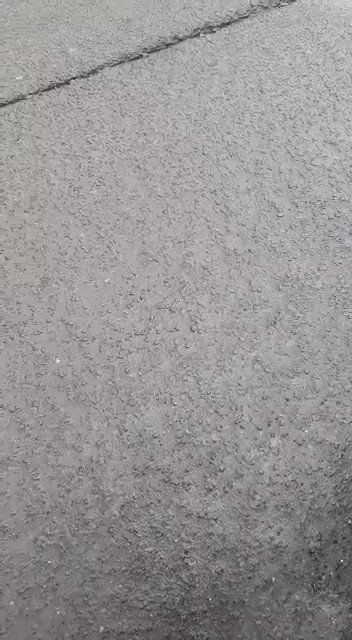Embedded video