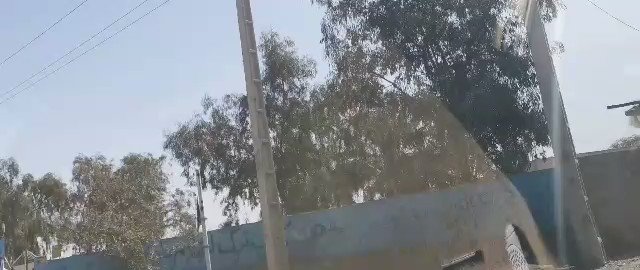 Embedded video