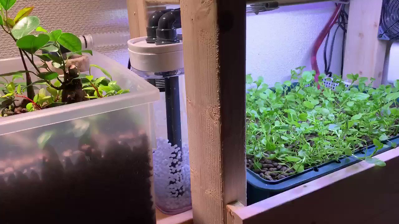 流動フィルター Twitter Search Twitter