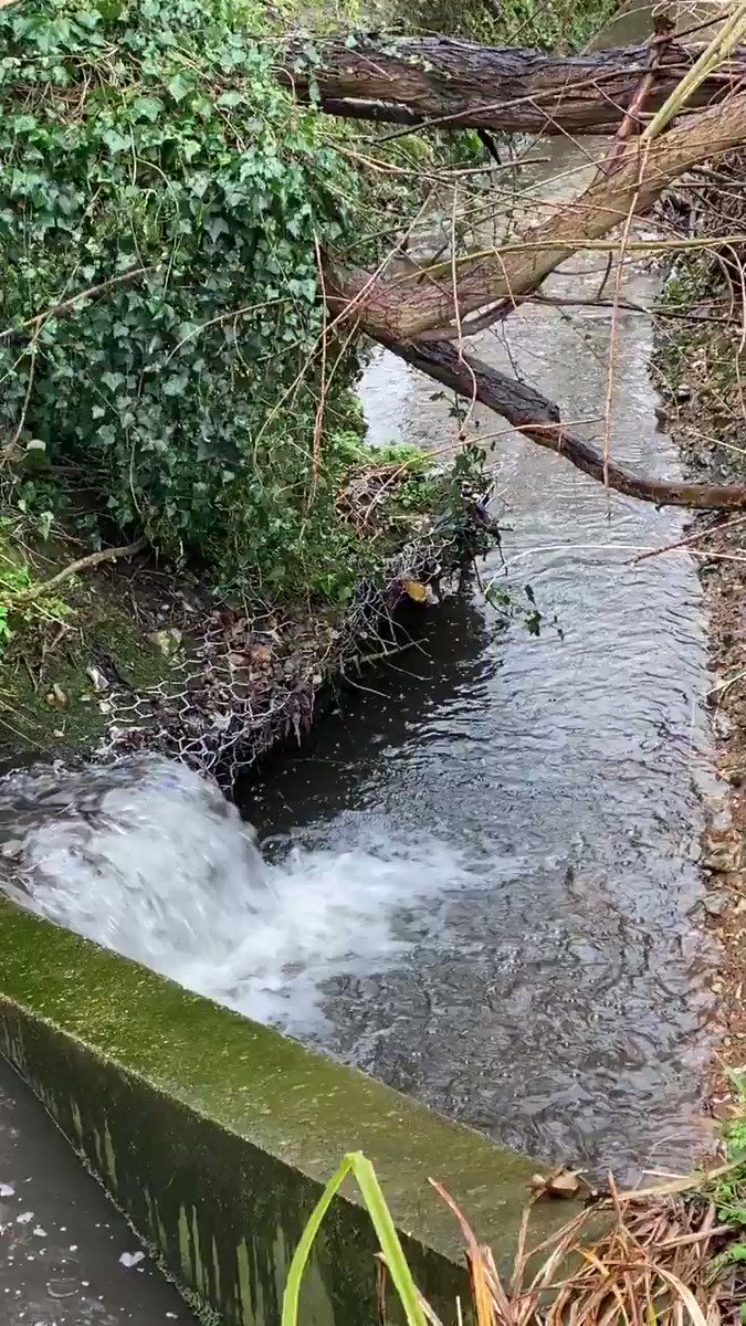 Sit in a noisy coffee shop? I take my own and escape for 15 mins. 2/3 coffee, 1/3 milk, 3 sweeteners, 1 shot of caramel syrup + a wall to sit on. Perfecto👌🏽#CoffeeLover #CoffeeAddict #calm #tranquility #outofoffice #FridayFeeling #NaturePhotography #water #howilikeit #introvert