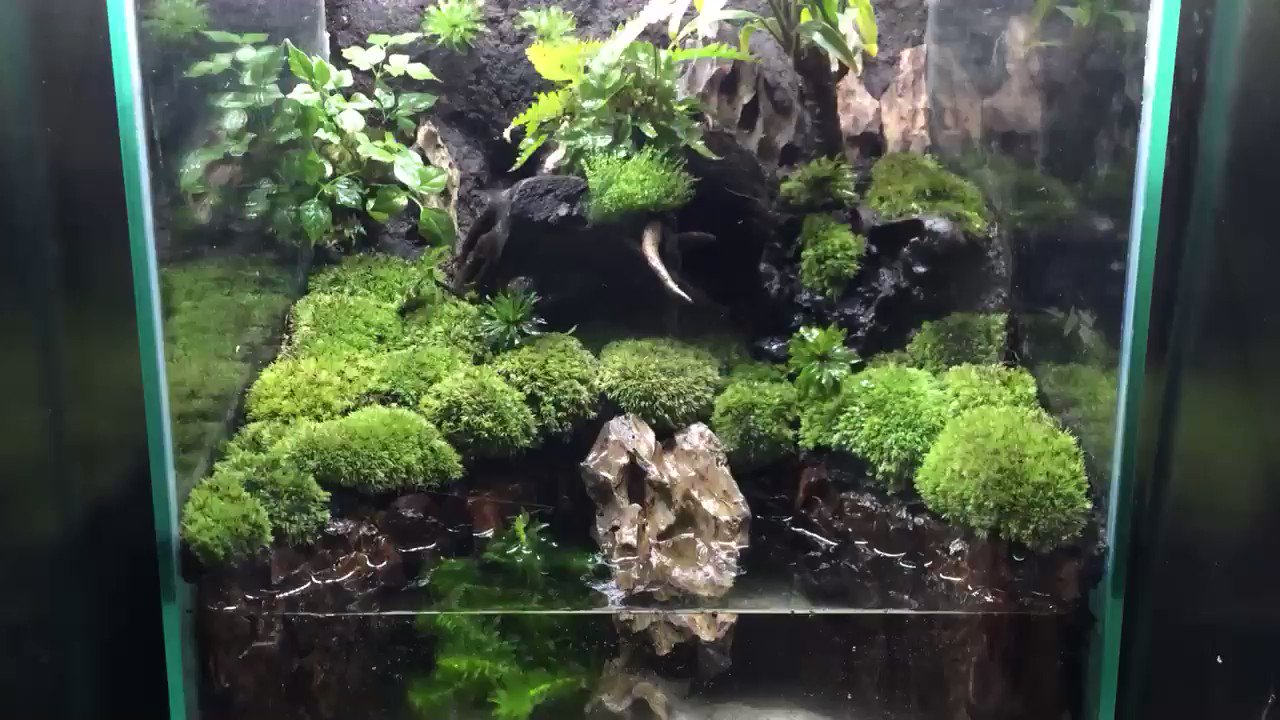 あきch on X: 