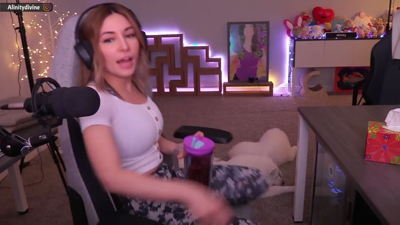 Alinity on Twitter: "synchronized samoyed faces https://t.co/oWUoTSybjJ