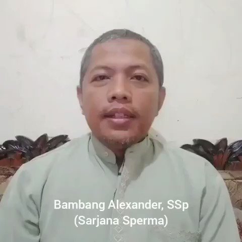 Embedded video