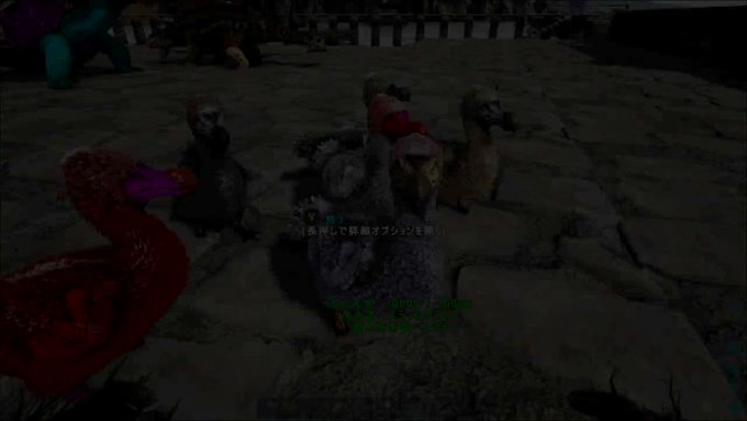 パイロンオーさん がハッシュタグ Ark をつけたツイート一覧 1 Whotwi グラフィカルtwitter分析 パイロンオーさん がハッシュタグ Ark をつけたツイート一覧 1 Whotwi グラフィカルtwitter分析