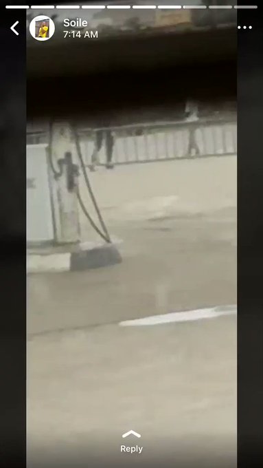 Embedded video