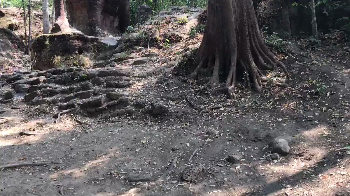 Off the beaten track #statues of #Elephant and #lions at #Kulen #mountain where you can take a #motorbike or #treking to see.
It’s called #srashdamrei or #elephantpond