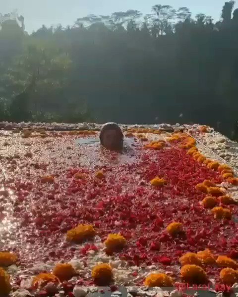 profesional driver and guide tour Bali Indonesiaenglish and arabic speakingHanging Gardens Of Bali🌹🌹🌹🌹🌹🌹#سياحة_بالي #سياحة_اندونيسيا #سواق_بالي #سائق_بالي #سواق_سياحة #بالي #جبل_الأخضر #اندونيسيا #دليل_سياحي
