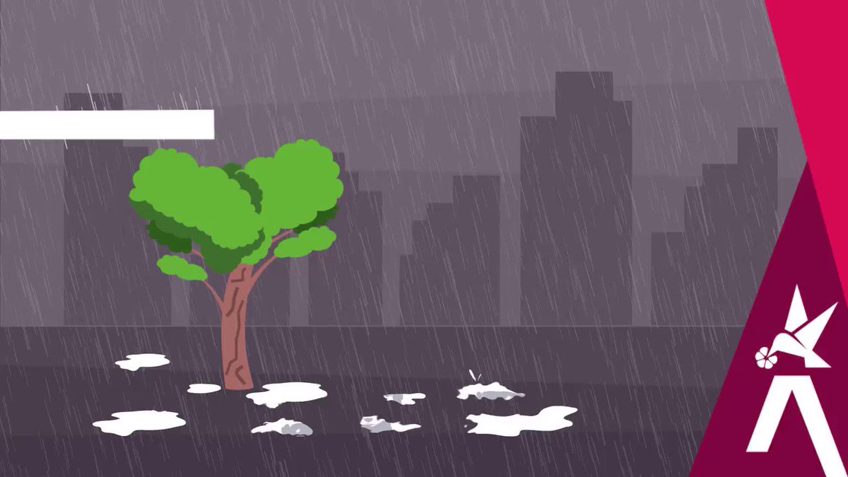 Durante esta temporada de lluvias ayúdanos a identificar un #ÁrbolEnRiesgo Repórtalo al 123 o dirígete a los puntos SuperCADE de la ciudad.