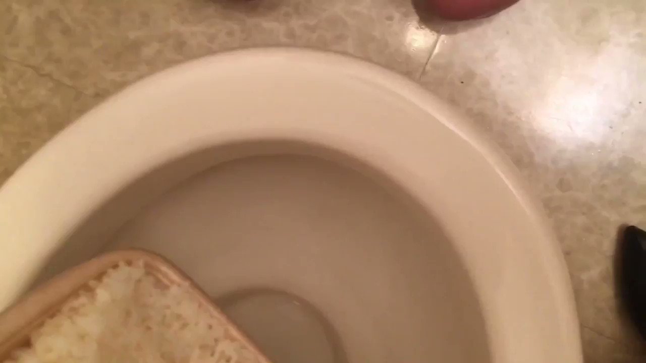 便器舐め　便器フェチ 