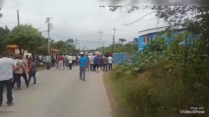 Video insertado