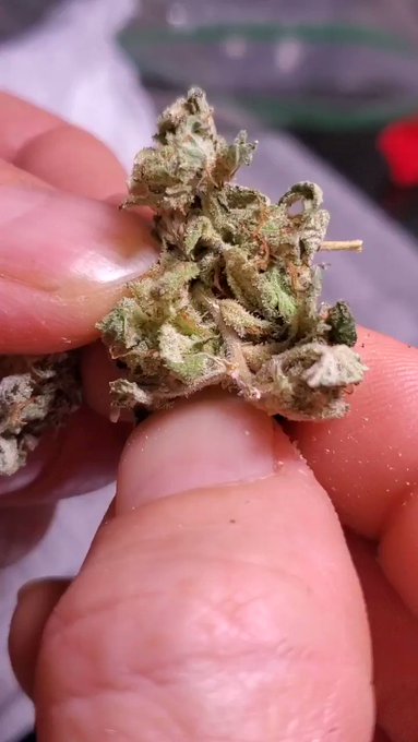 Mmmm https://t.co/hmkhoIbmrZ