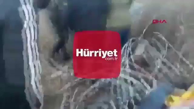 Embedded video