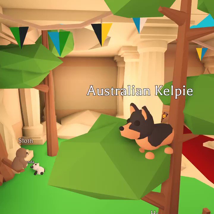 Adopt Me On Twitter We Didn T Show Much Of The Australian Kelpie Before The Update Look At This Cutie - cute sloth roblox