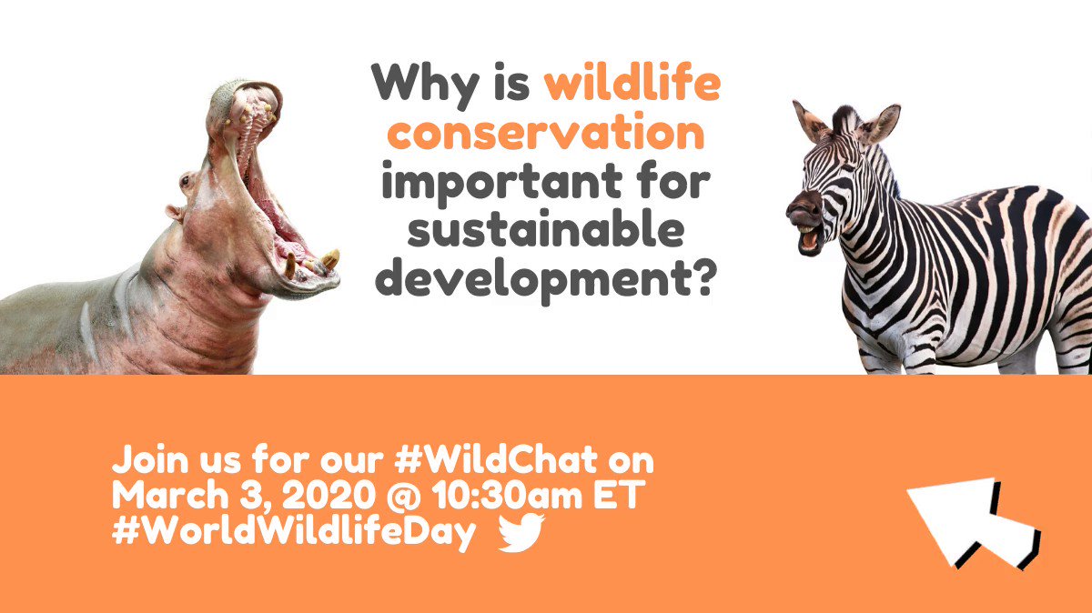توییتر \ World Bank Africa در توییتر: «Wildlife has declined by 60 percent  since 1970. Join @WBG_Environment, @UNEP_Africa and @theGEF for a twitter  chat at 1030am ET on March 3 to discuss