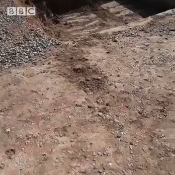 Embedded video