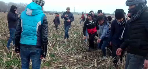 Embedded video