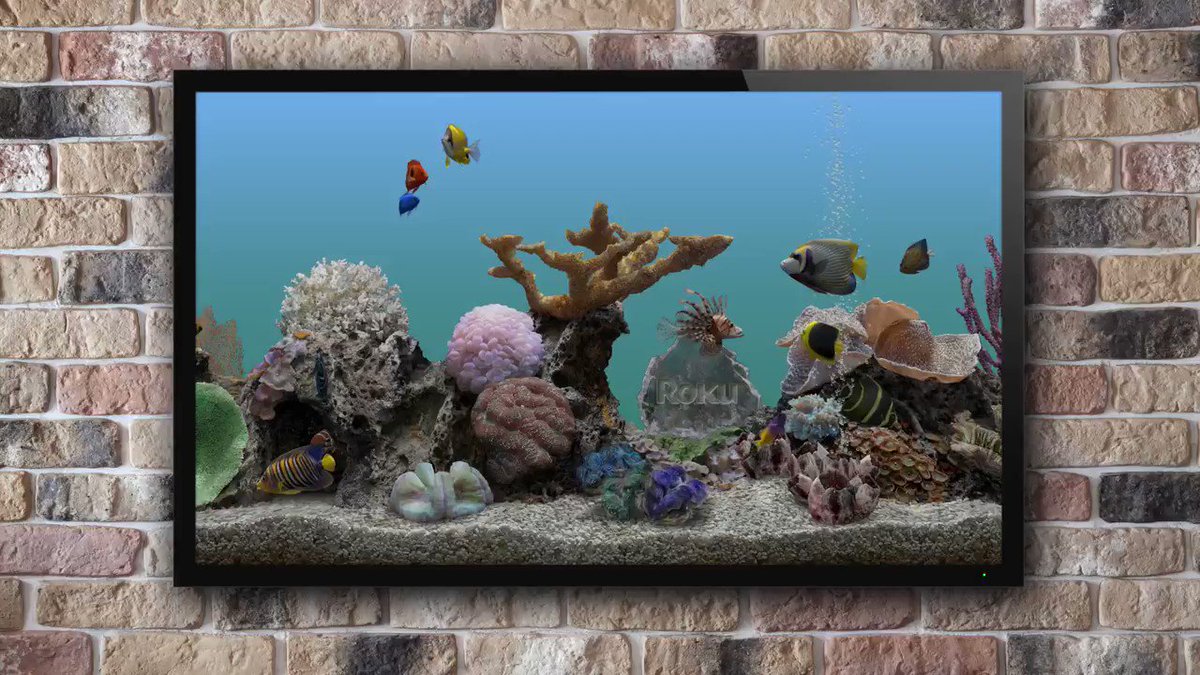 best aquarium screensaver roku best aquarium screensaver roku