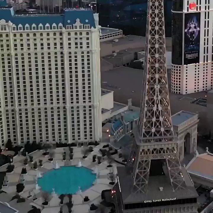 Paris Vegas (@parisvegas) • Instagram photos and videos
