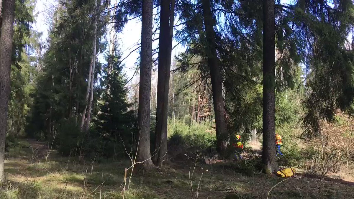 Kamila Medova Kamilamedova Twitter