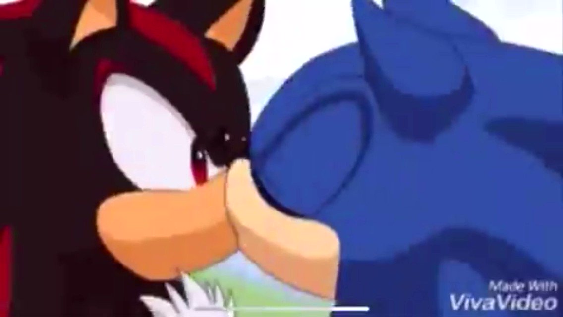 A gif of shadow and sonic kissing, Another Unnecessary Wiki